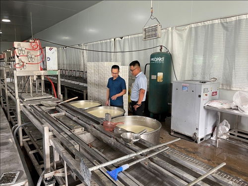 中國人壽財險推出預制菜專屬定制服務，保障食品安全助力行業(yè)發(fā)展